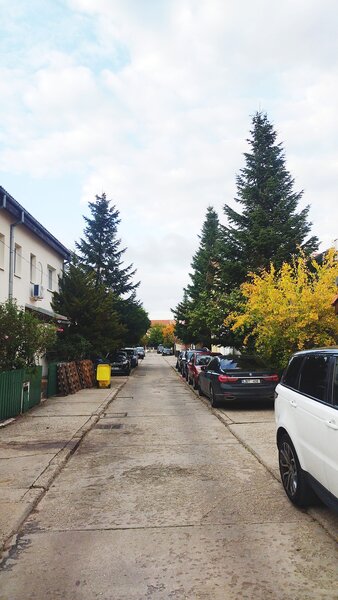 Pipera, Iancu Nicolae, Gamma Delta, vila.